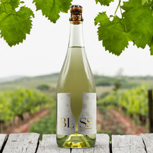 BLISS - 2023 Sauvignon Blanc Bubbly